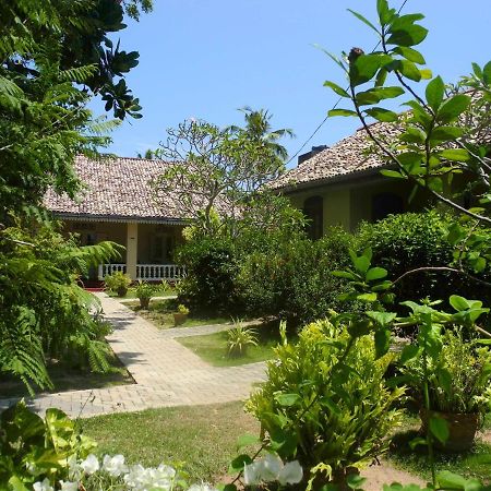 Top Of The Hill Guesthouse Weligama Exteriör bild