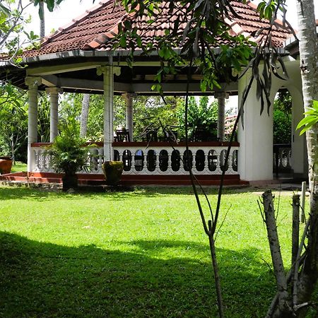 Top Of The Hill Guesthouse Weligama Exteriör bild