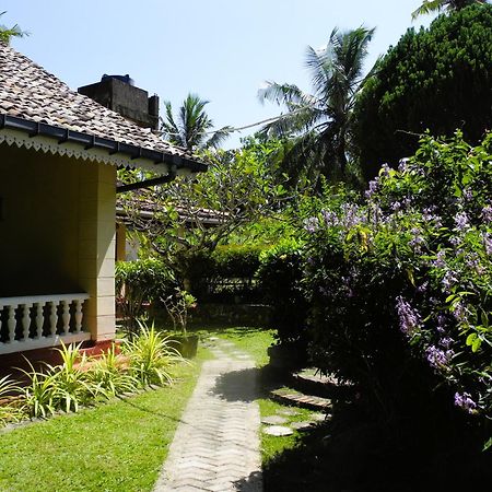 Top Of The Hill Guesthouse Weligama Exteriör bild