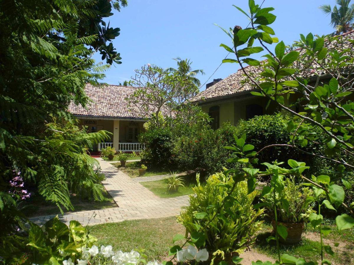 Top Of The Hill Guesthouse Weligama Exteriör bild