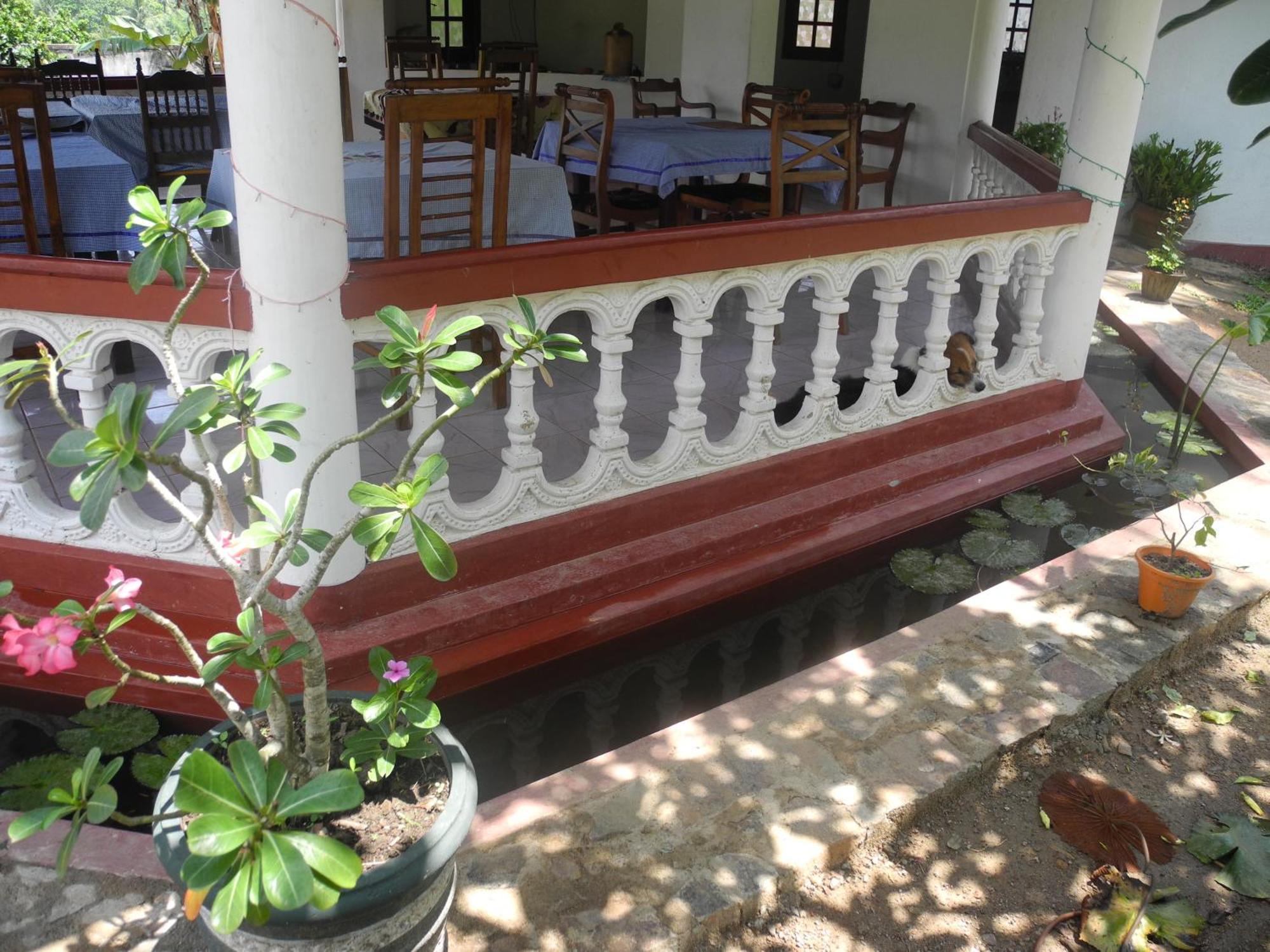 Top Of The Hill Guesthouse Weligama Exteriör bild