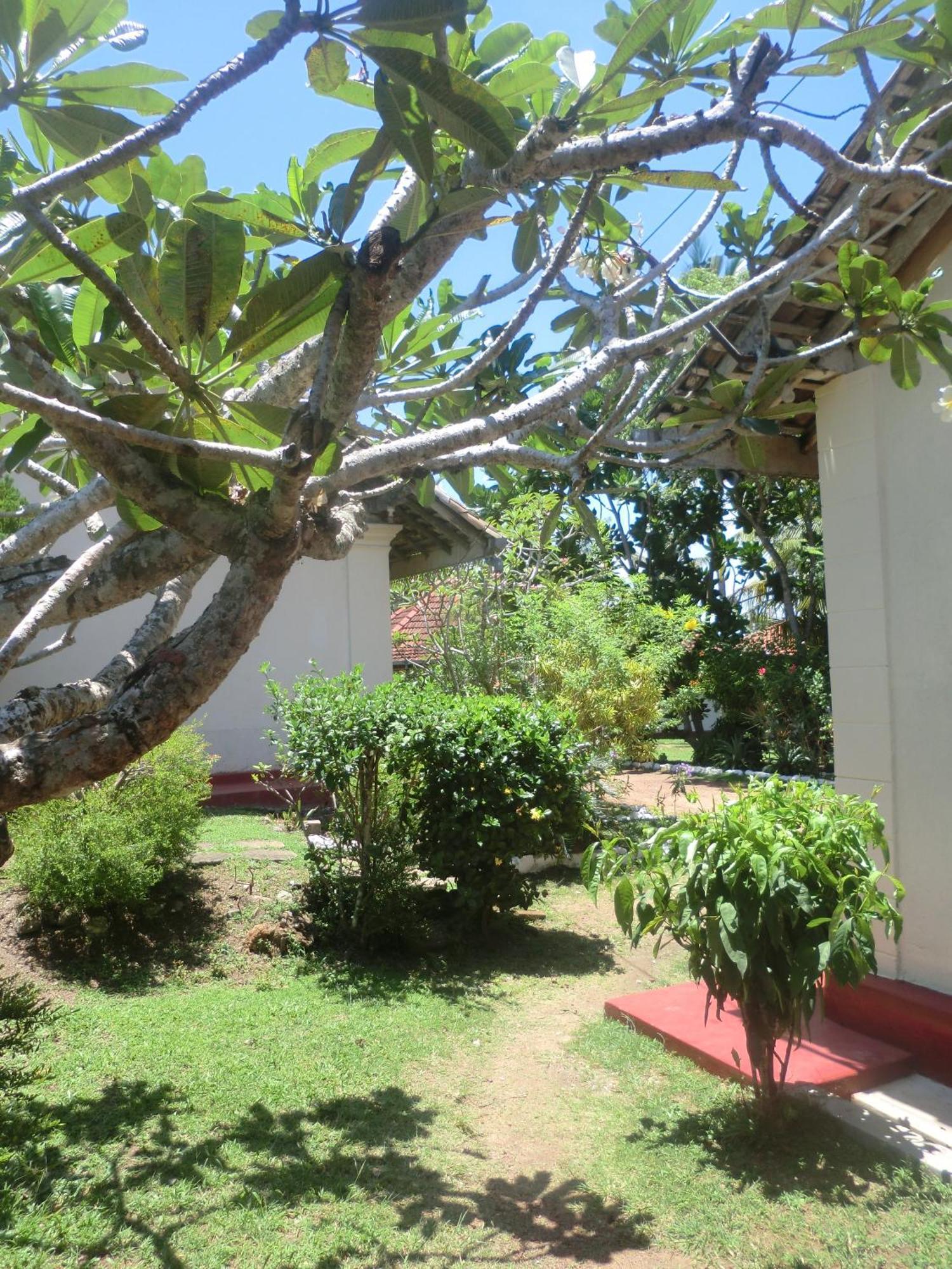 Top Of The Hill Guesthouse Weligama Exteriör bild