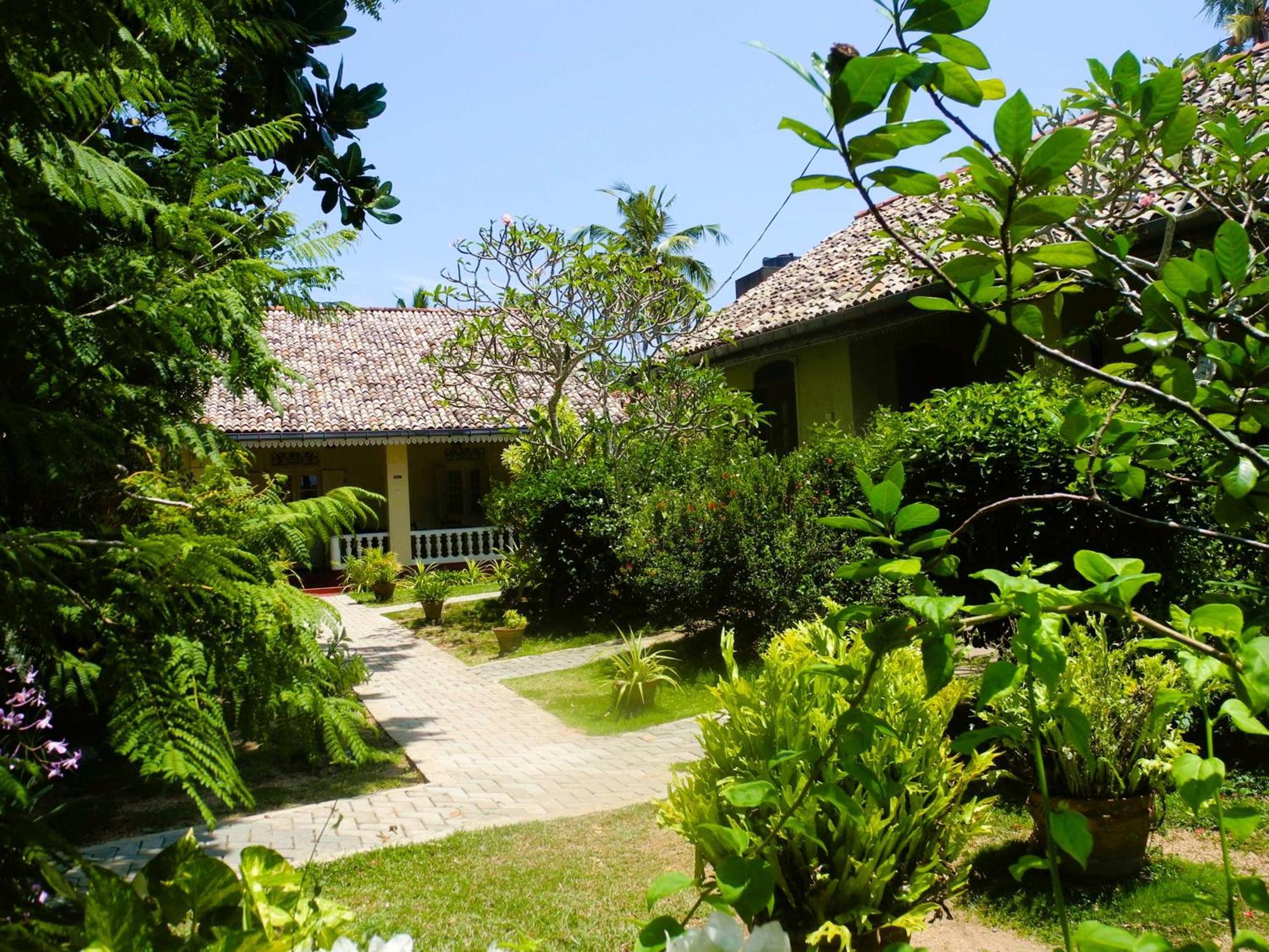 Top Of The Hill Guesthouse Weligama Exteriör bild
