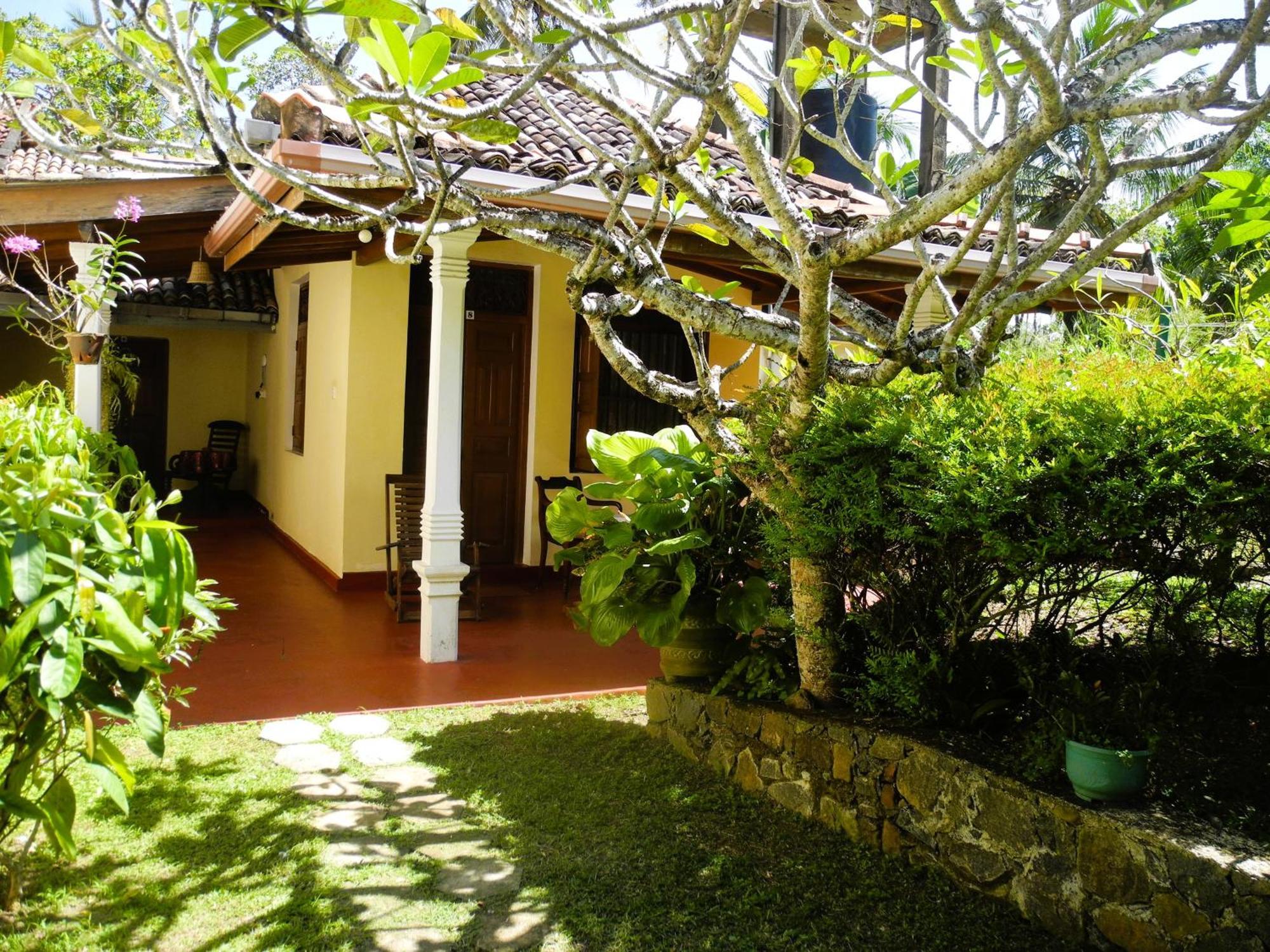 Top Of The Hill Guesthouse Weligama Exteriör bild