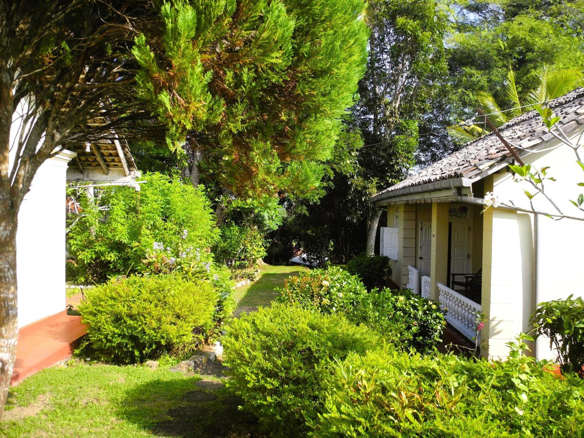 Top Of The Hill Guesthouse Weligama Exteriör bild